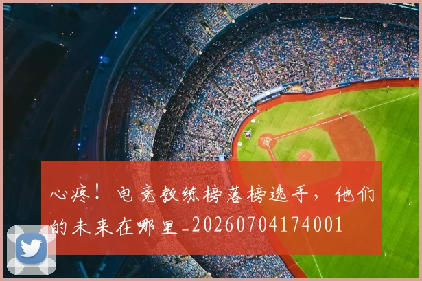 心疼！电竞教练榜落榜选手，他们的未来在哪里_20260704174001