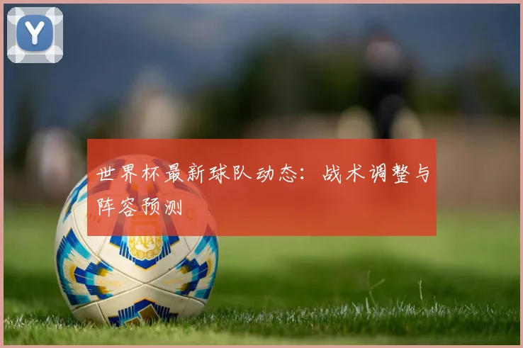 世界杯最新球队动态:战术调整与阵容预测